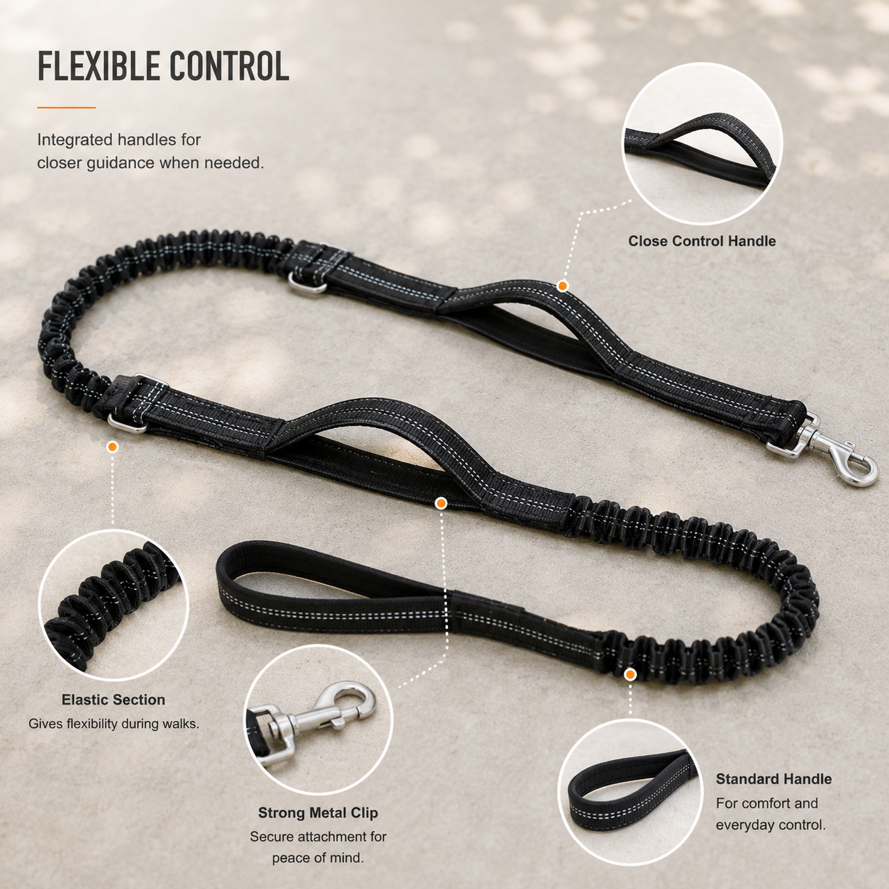 Hands-Free Dog Walking Set