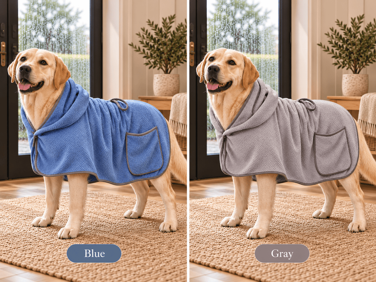 Labrador Retriever wearing the Hooded Dog Drying Robe in Blue and Gray color options.
