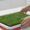 Cleaning demonstration showing the grass lifted, grid rinsed, base emptied and potty reassembled.